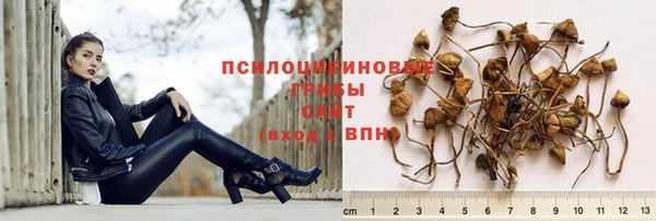 твердый Ладушкин