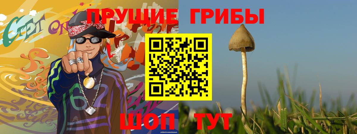 Красноперекопск  Галлюциногенные грибы Magic Shrooms  хочу наркоту  Вход с VPN 